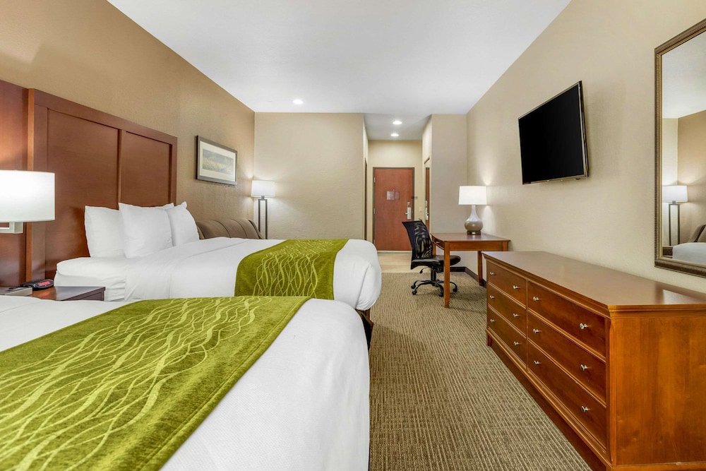 Comfort Inn and Suites Davenport Quad Cities 16/41