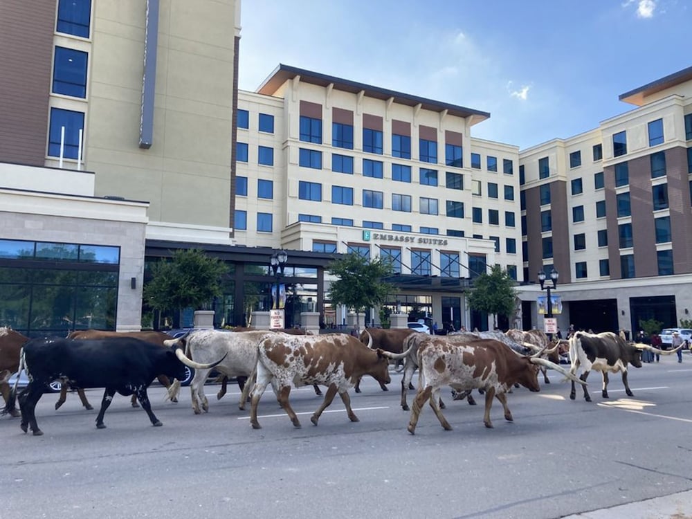 EMBASSY SUITES BY HILTON AMARILLO DOWNTOWN HOTEL 58/62