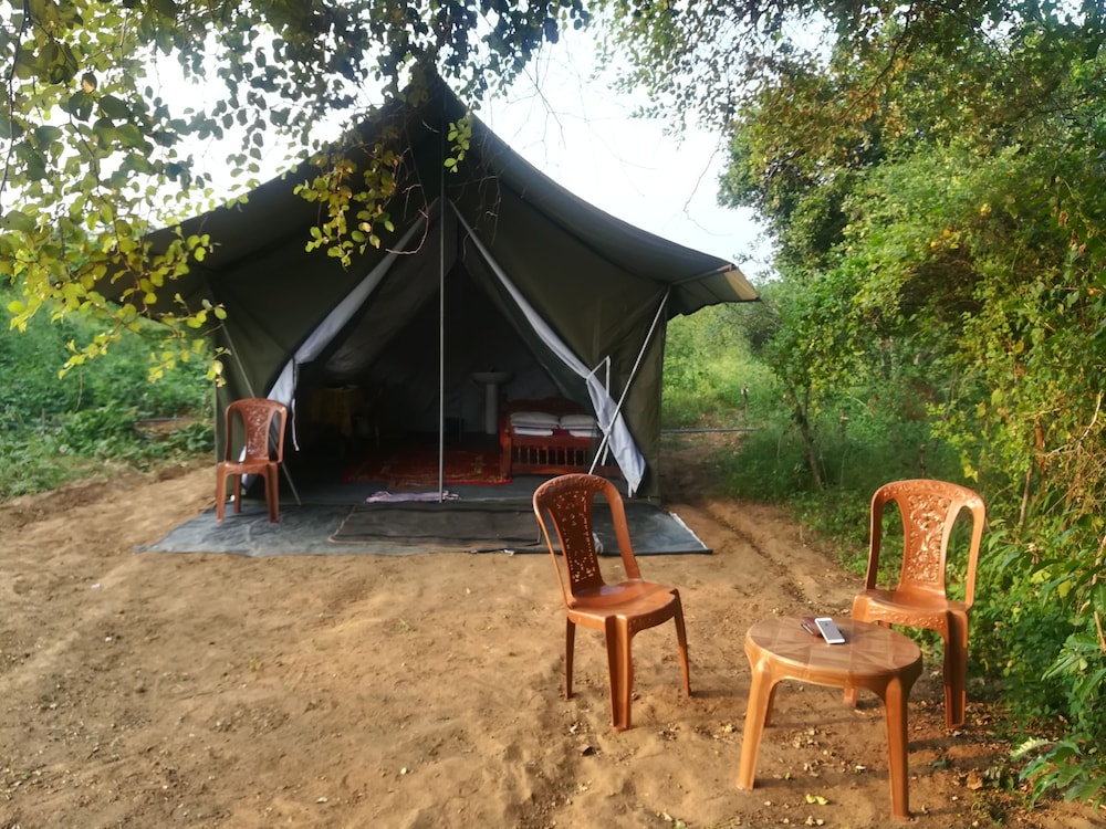 Wild Eco Safari 9/22