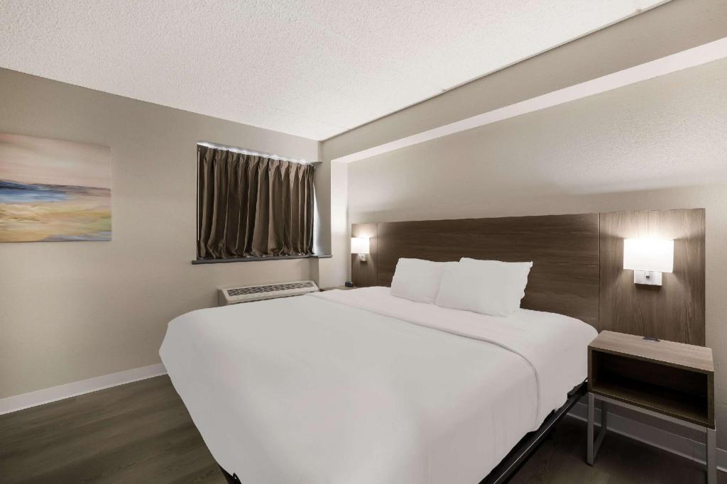 SUITE, KING BED