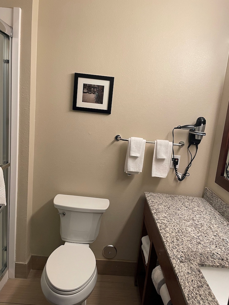 1 BEDROOM, SUITE