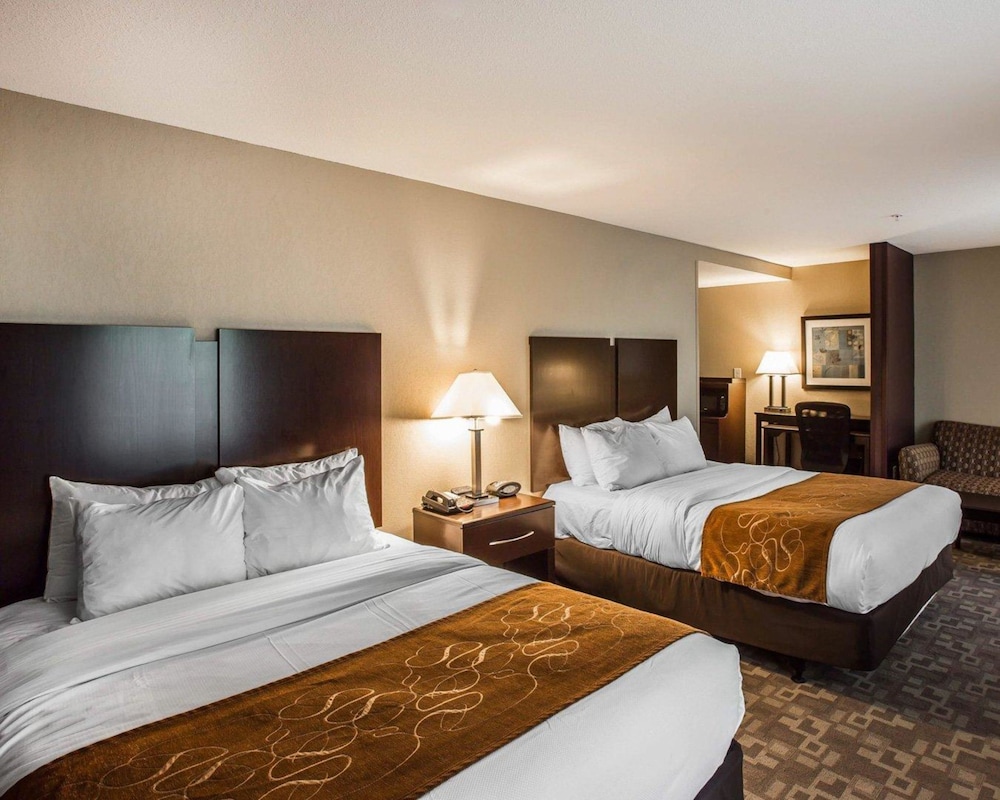 Comfort Suites Whitsett - Greensboro East Whitsett NC 12/41