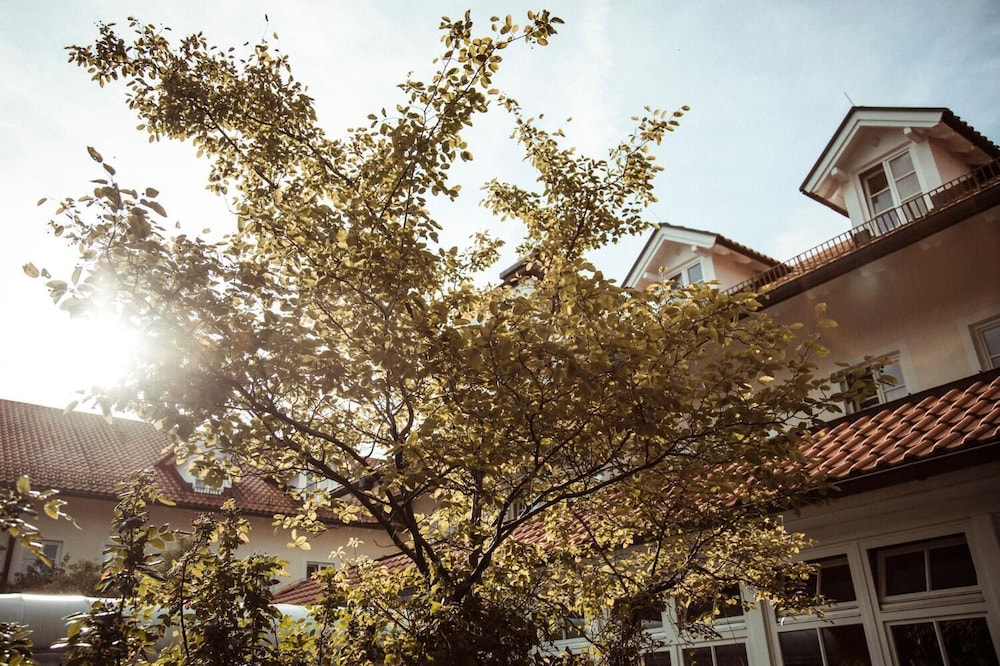 Hotel Limmerhof 41/41