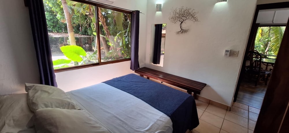 Massai 15/50