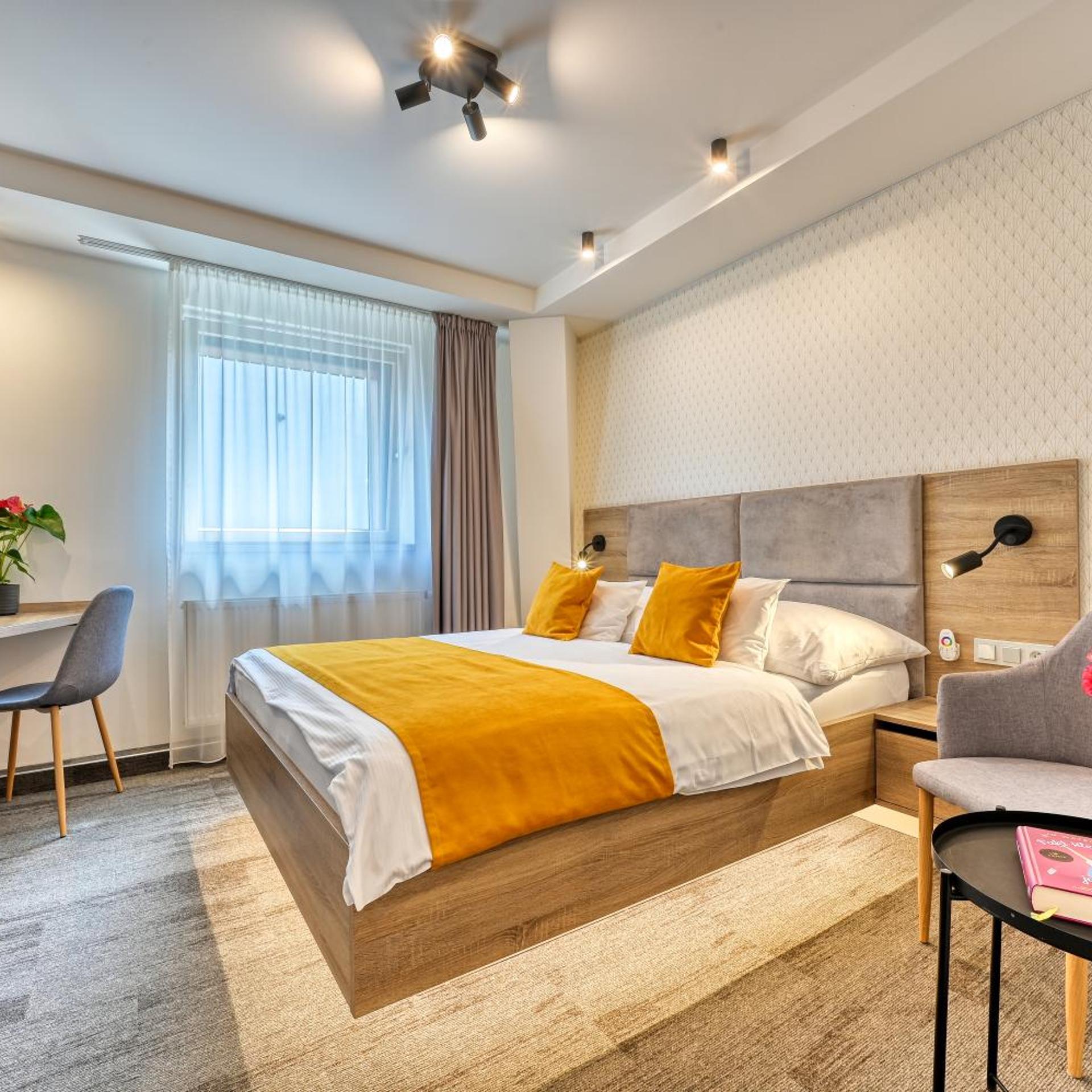 Wellness Hotel Fenix liberec 21/65