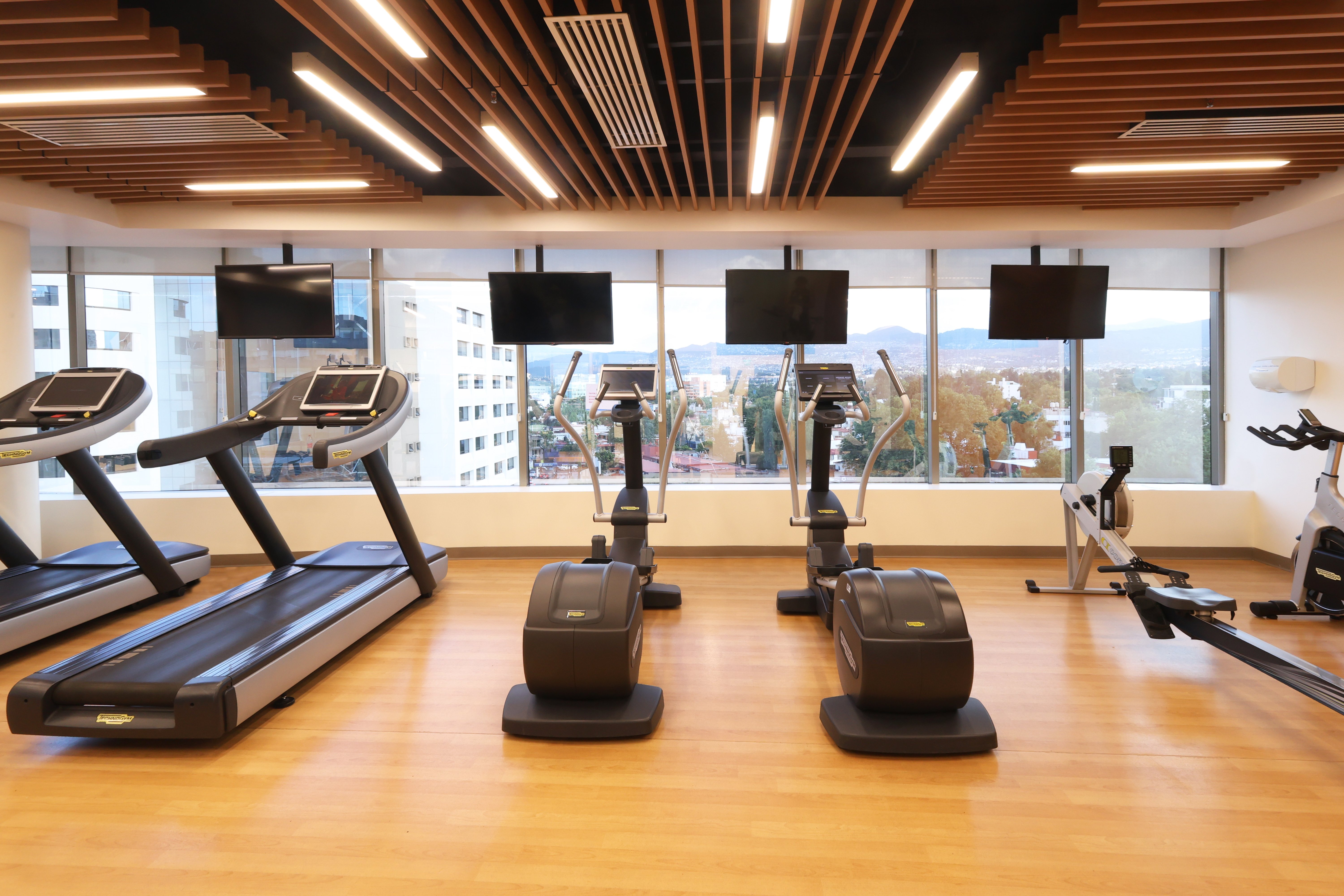Holiday Inn Hotel And Suites Medica Sur 19/35