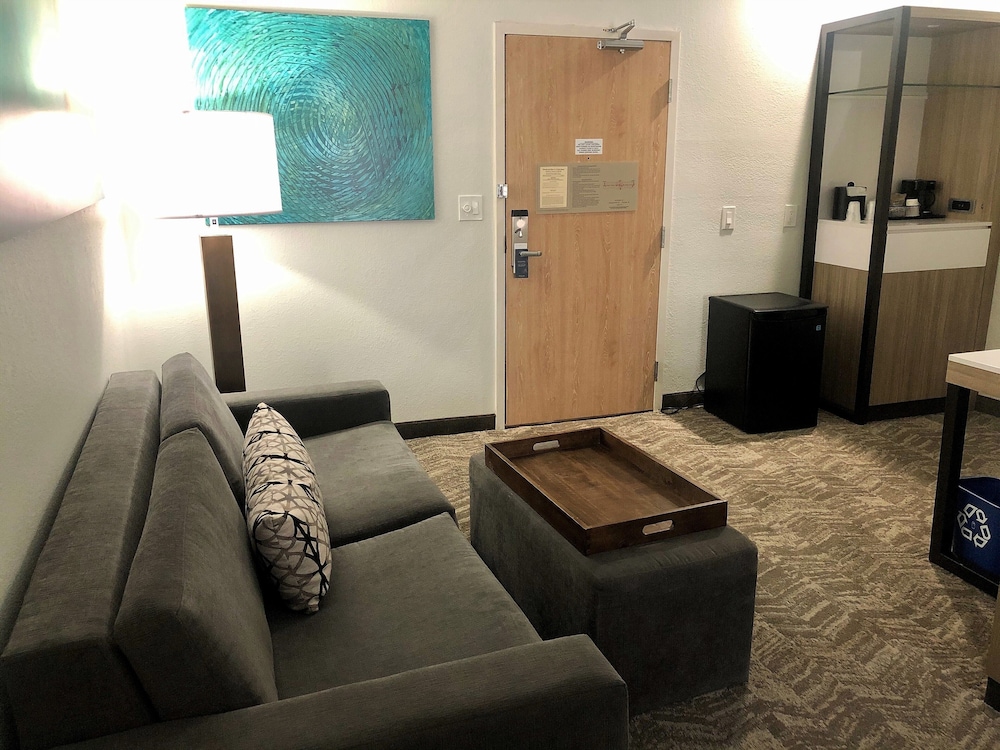 SpringHill Suites Dallas Arlington North 34/48