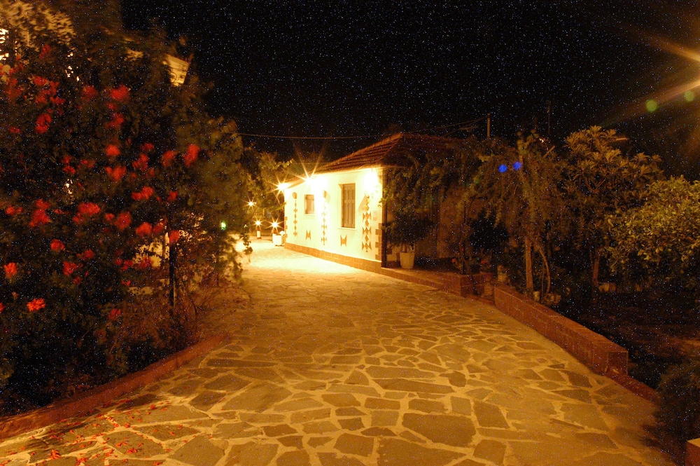 Zante Nest 54/64