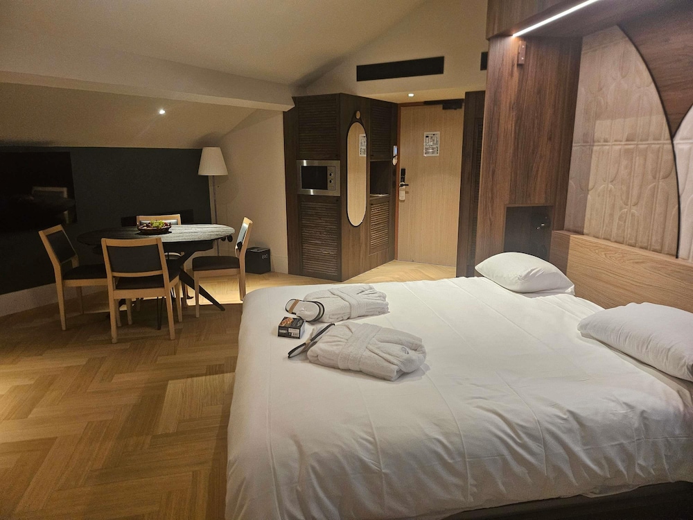 Mercure Albi Bastides 26/61