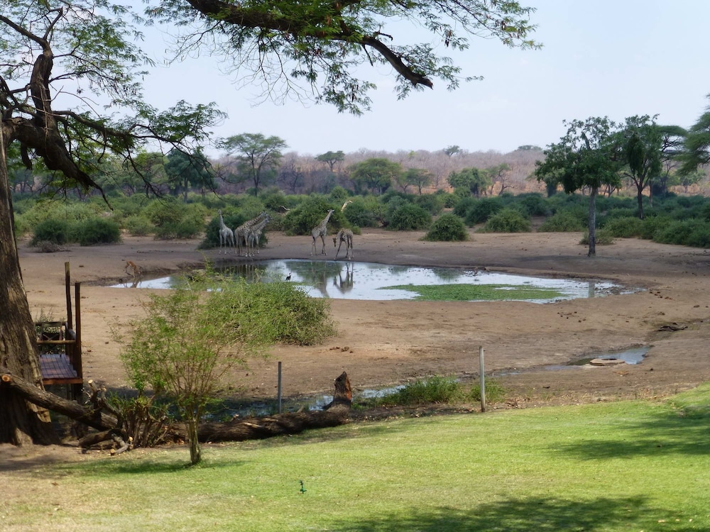 Elephant Valley Lodge 33/50