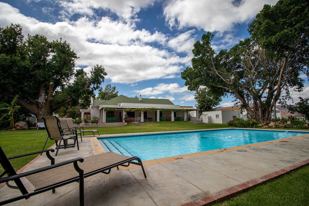 Green Olive Guesthouse 43/50