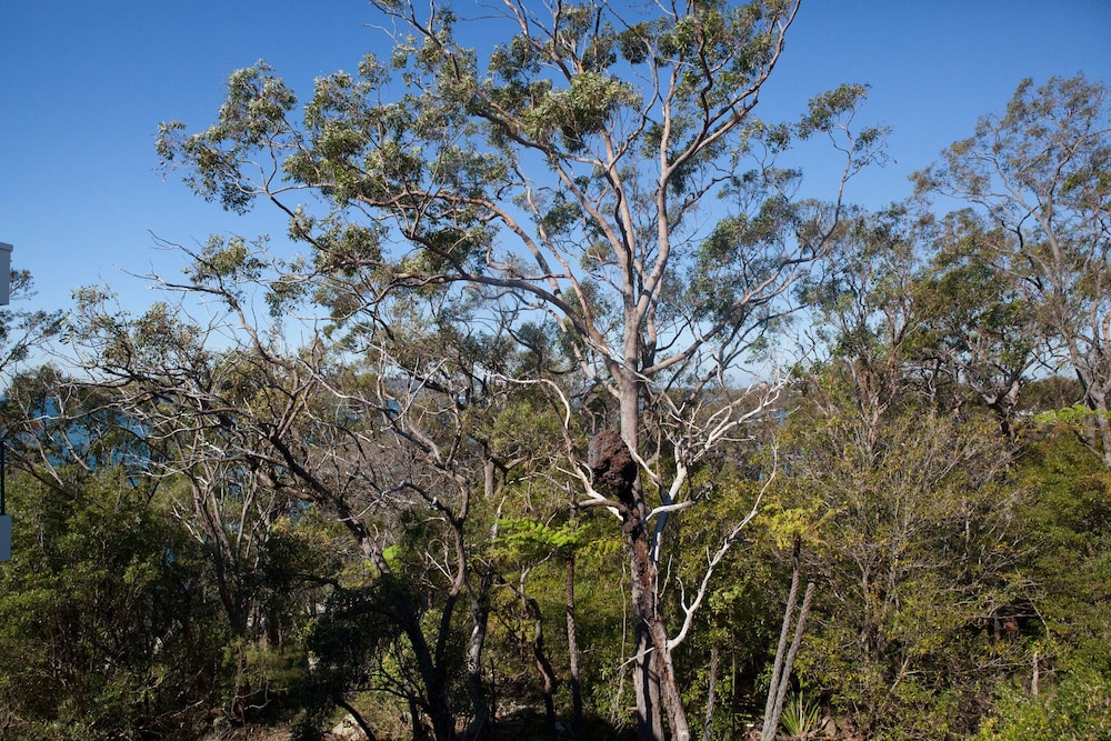 Bannisters Port Stephens 66/72