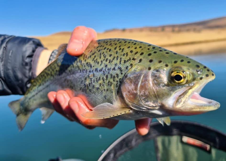 Tillietudlem Nature Reserve 5/14