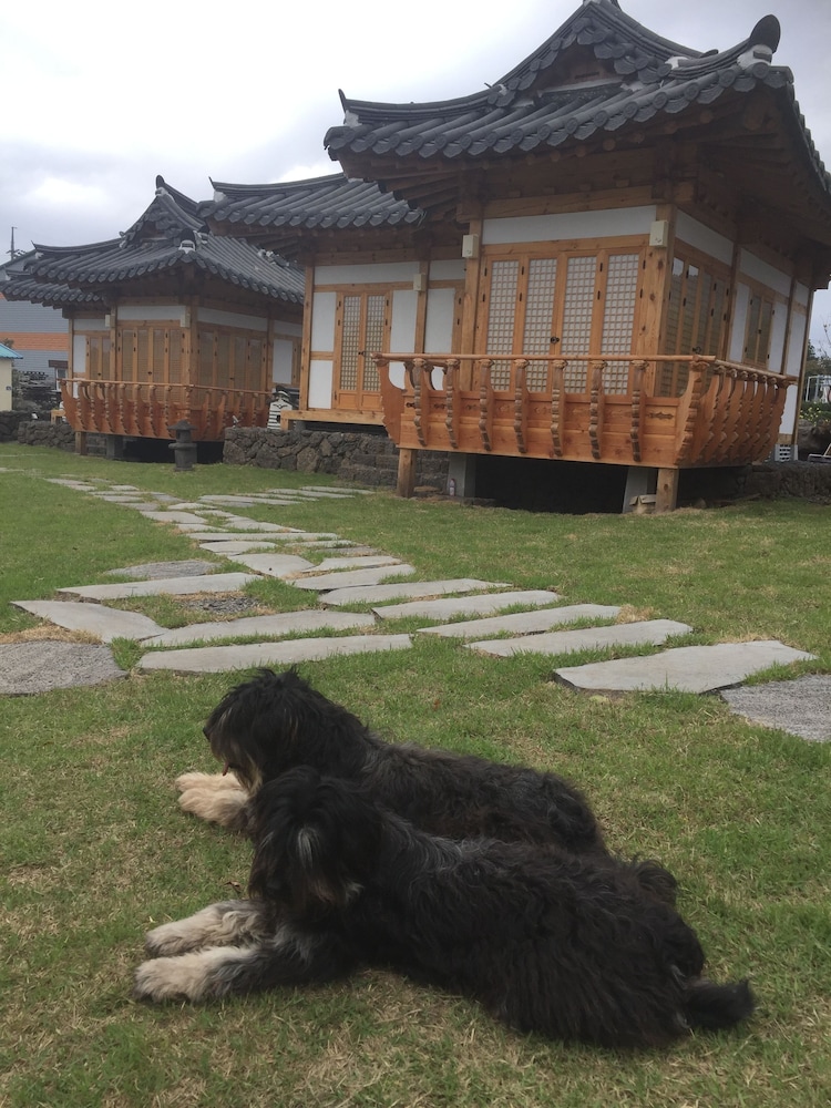 Canopus Resort Pension 35/50
