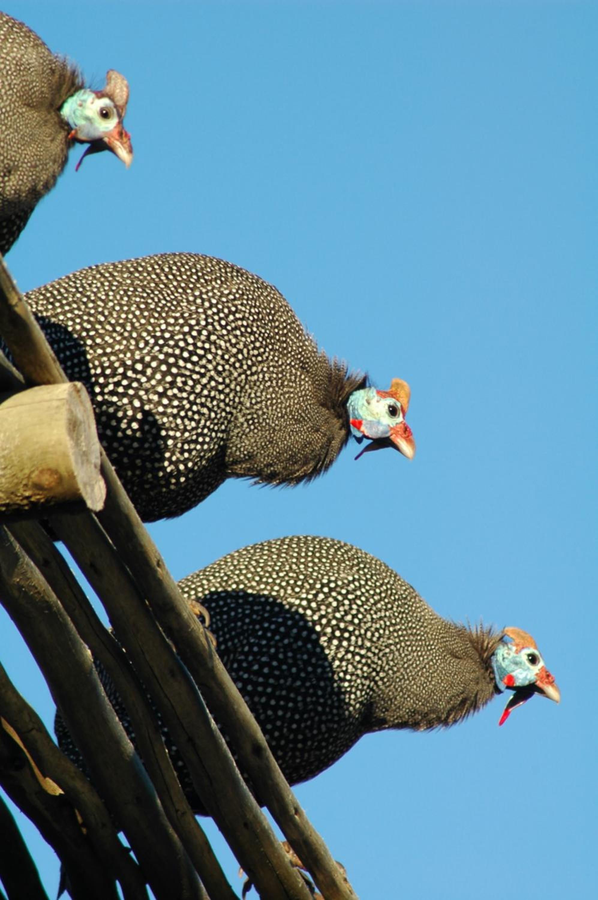 Kairos Lodge 28/30