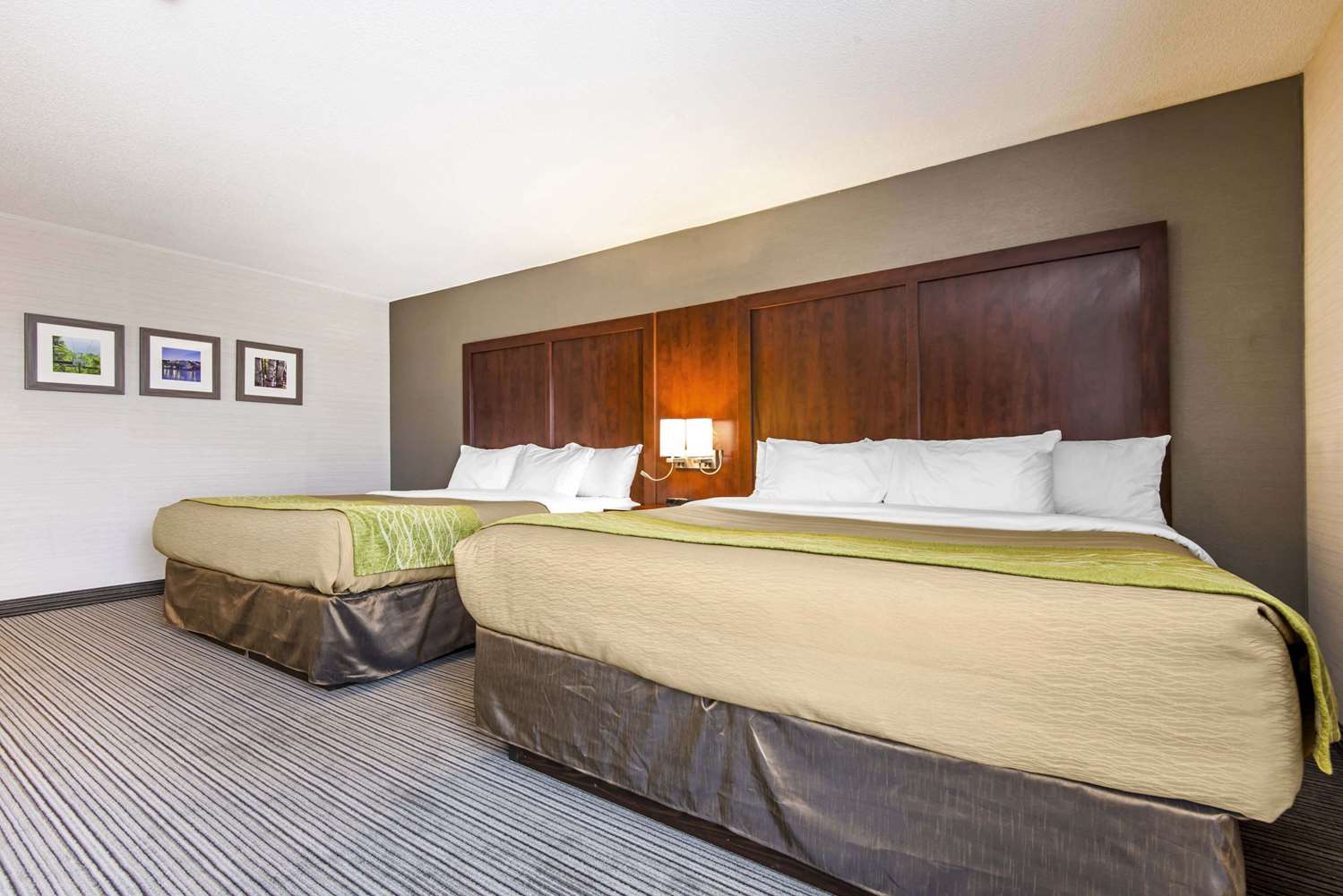 جناح بسريرين كوين، Comfort Inn & Suites Collingwood 2/3