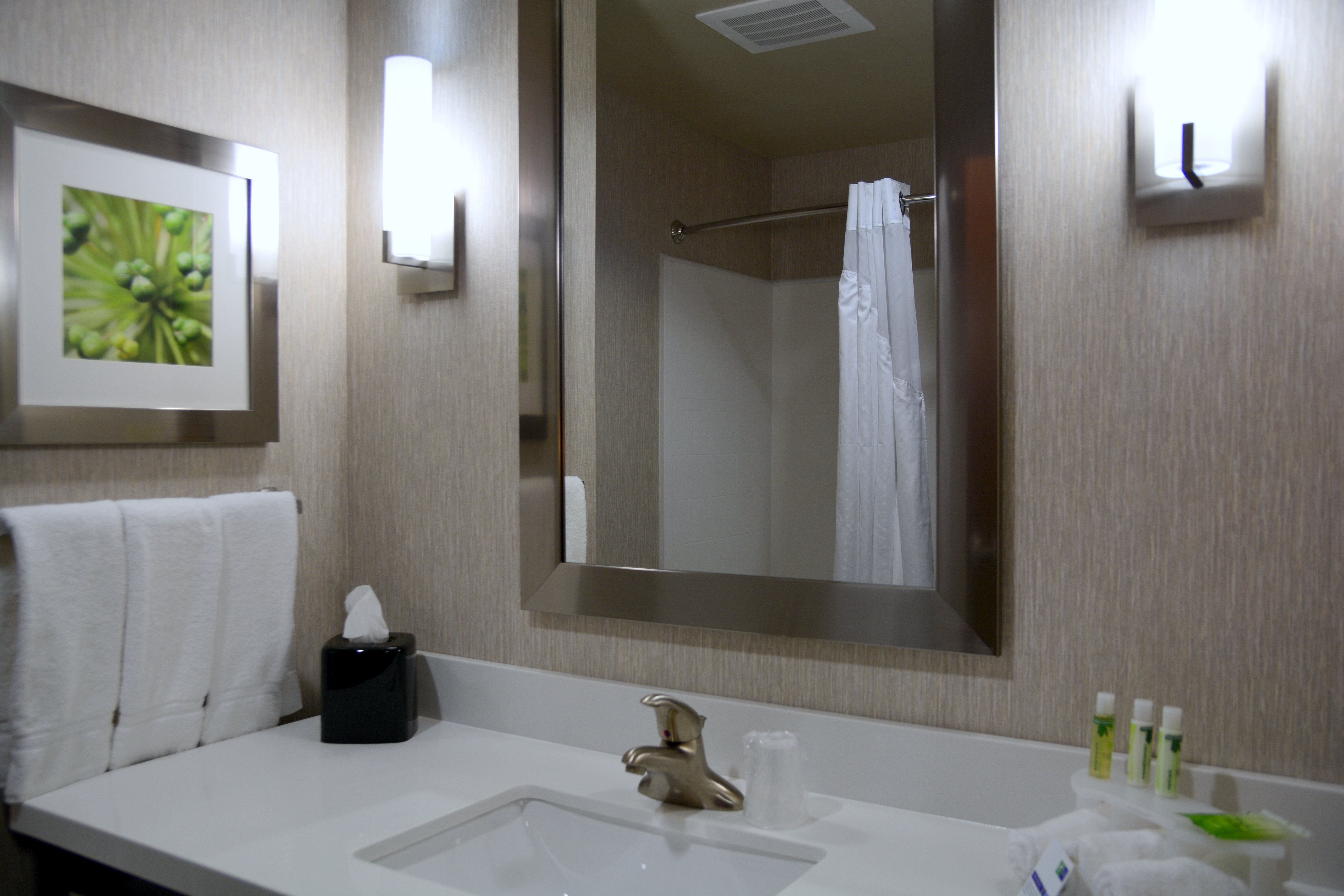 غرفة قياسية بسرير مزدوج، Holiday Inn Express & Suites Houston Nw - Tomball Area 2/2
