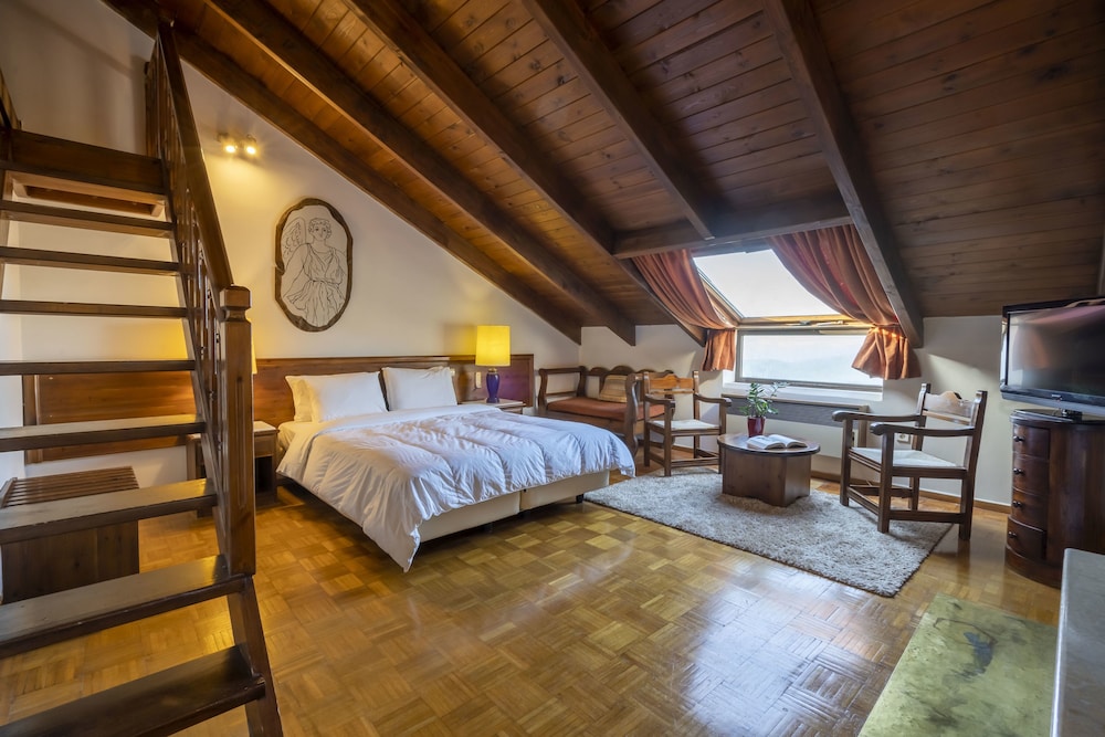 Domotel Anemolia Mountain Resort 18/34