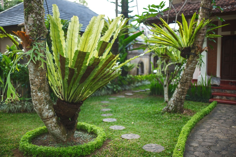 Alas Petulu Villa Resort And Spa 74/77