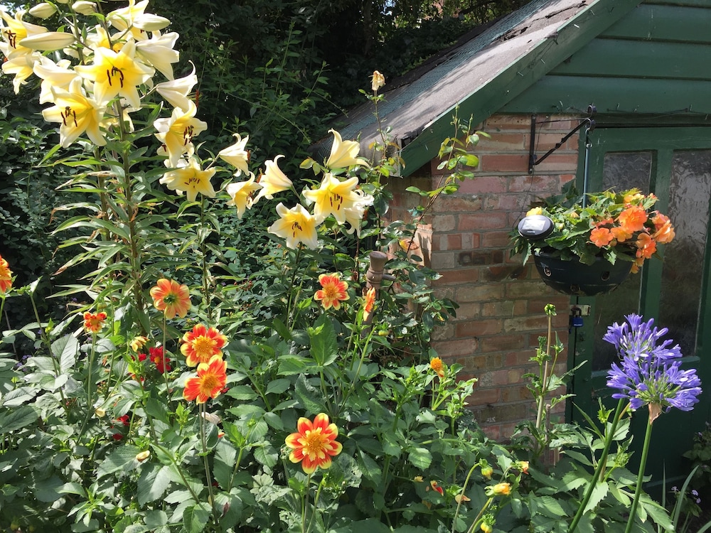Fairlight Lodge 28/41
