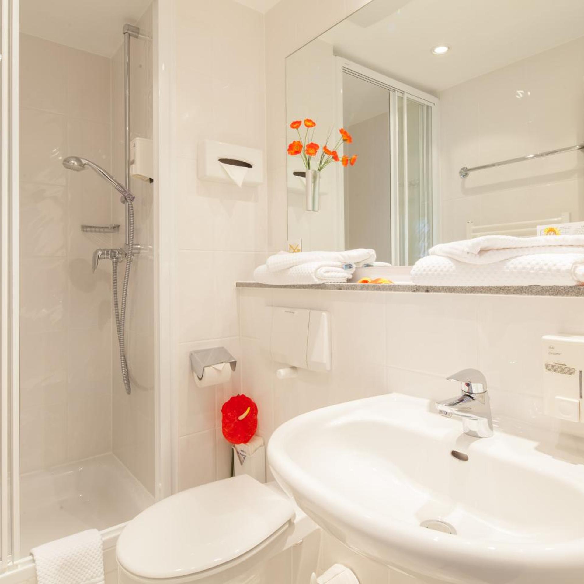 غرفة قياسية مفردة، Hotel Kastanienhof Berlin 5/7