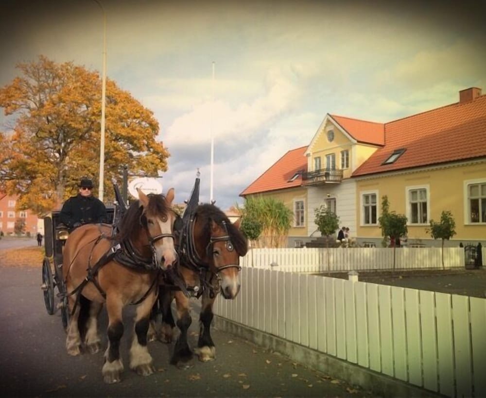 Annas Hotell 49/50