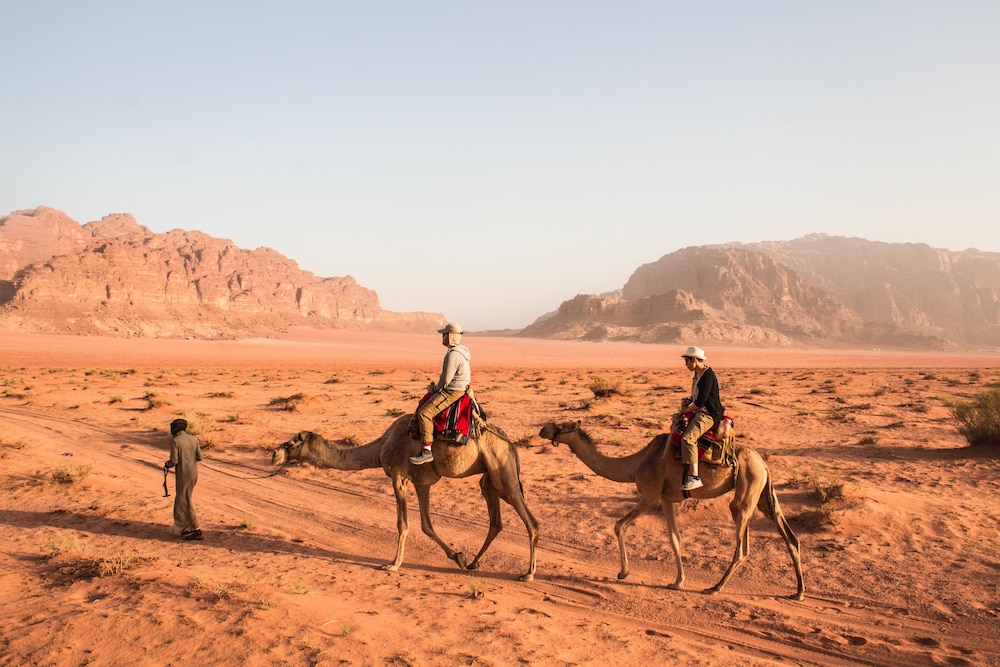Wadirum Quiet Village Camp 31/49