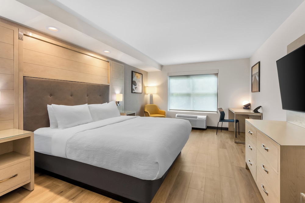 Suite, King Bed, Sofa