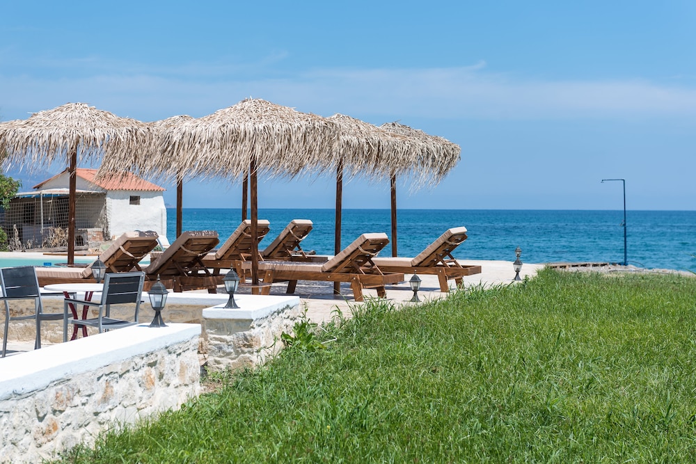 Musela Studios 30/38