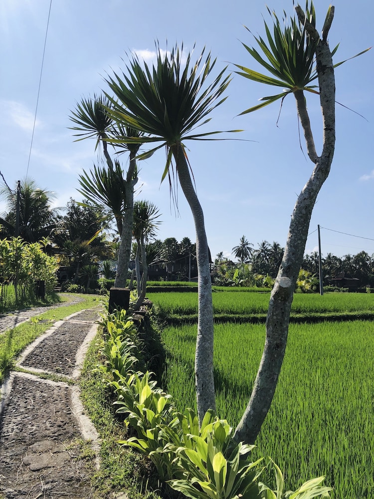 Villa Jj And Spa Ubud 55/80