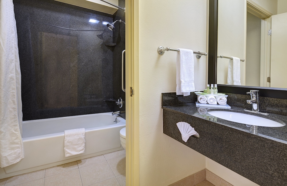 Holiday Inn Express San Diego South National City 23/73