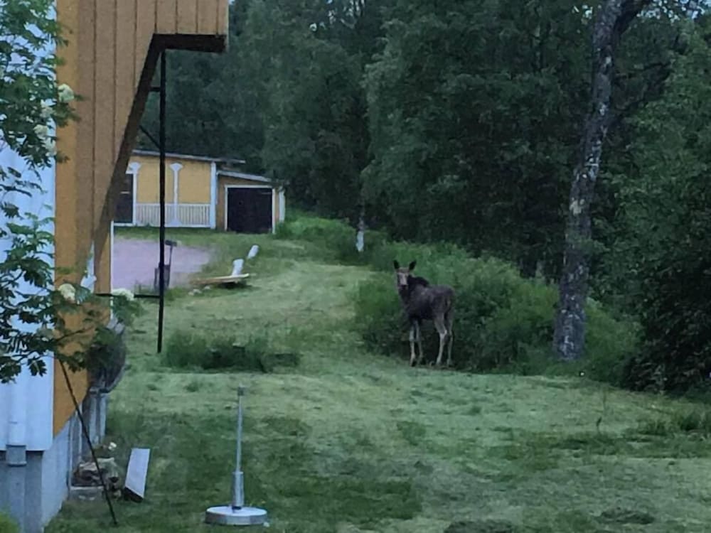 Vardshuset Lugnet 37/42
