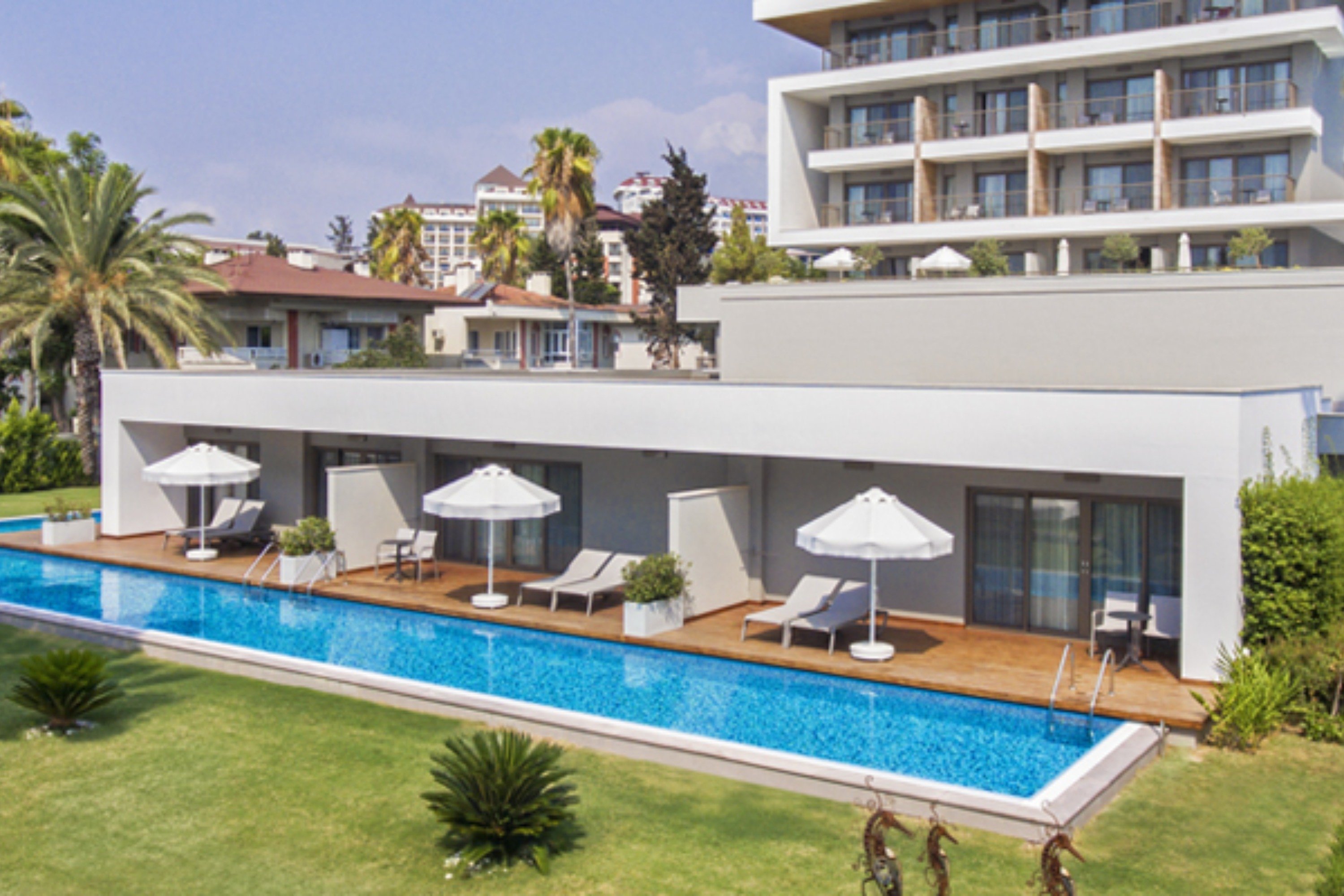 Acanthus and Cennet Barut Collection 17/20