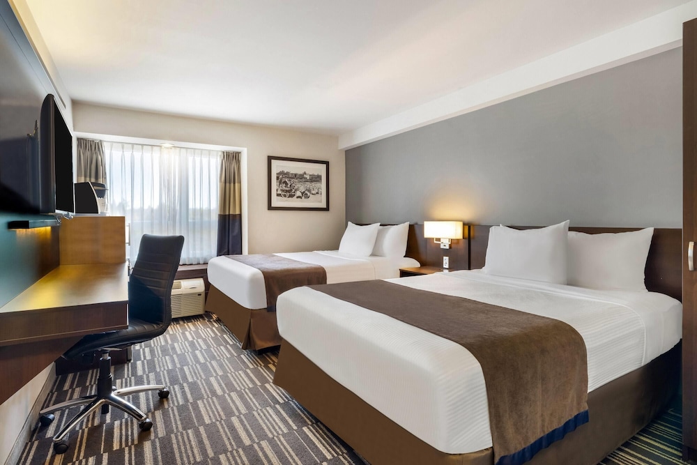 Microtel Inn & Suites by Wyndham Mont Tremblant 13/50