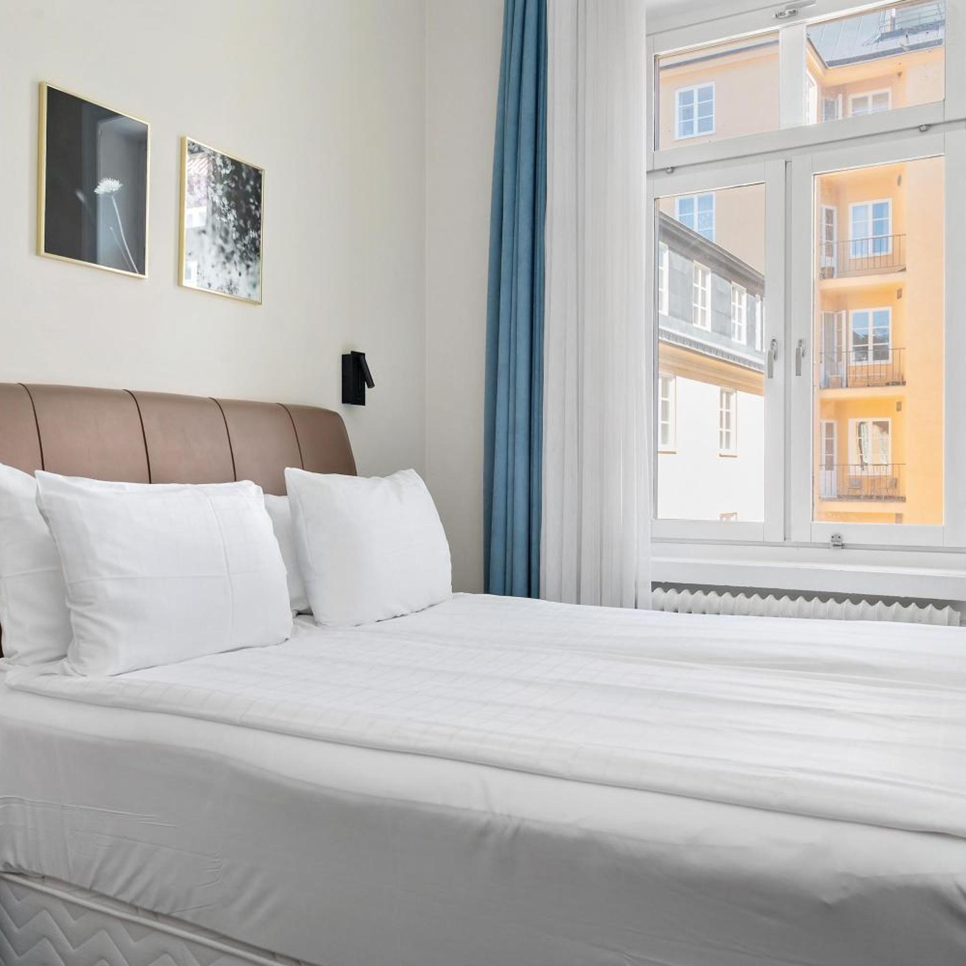 Economy, Family, Murphy Bed, Queen Bed
