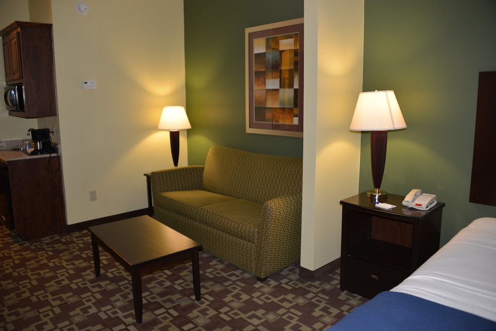 Holiday Inn Express Hotel Suites Dumas 56/72