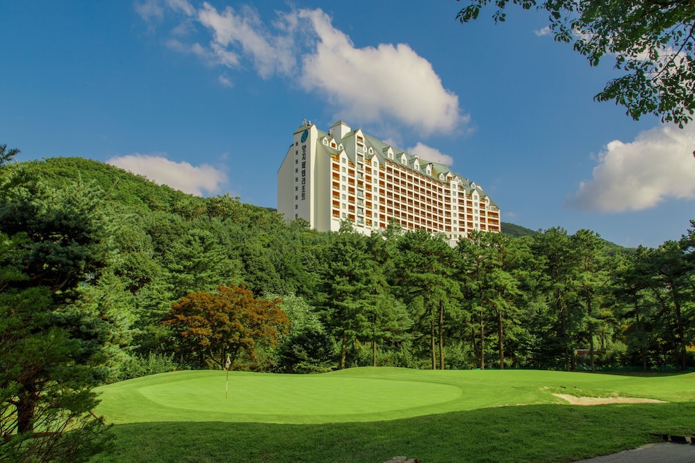 Yangji Pine Resort 39/42