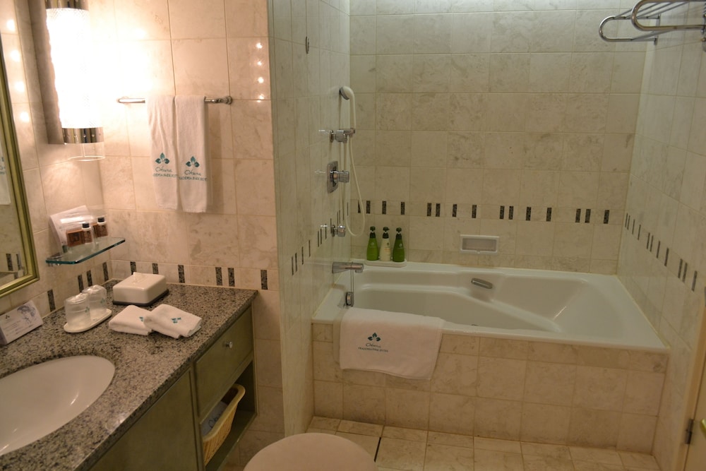 Okura Akademia Park Hotel 15/75