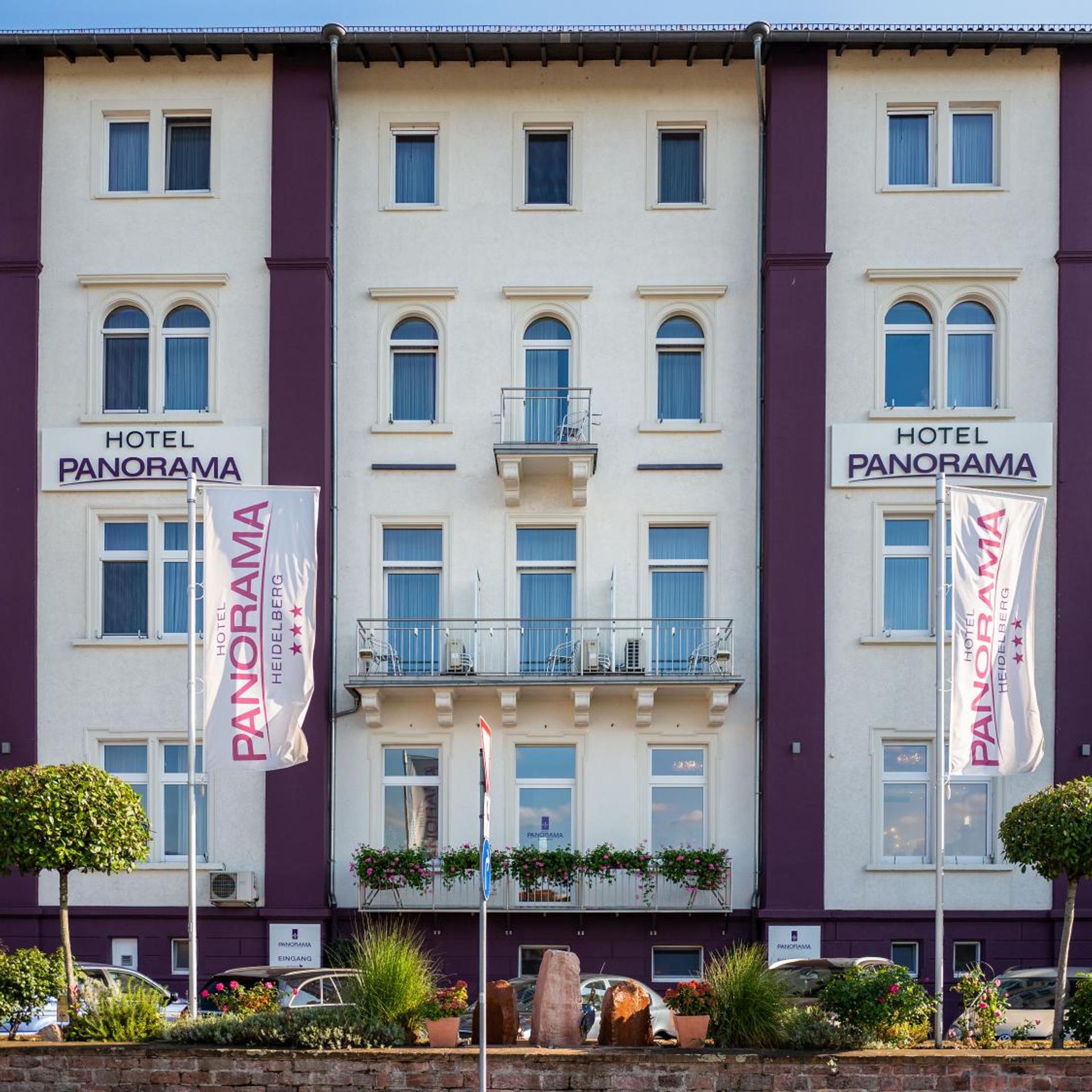 Hotel Panorama Heidelberg 3/45