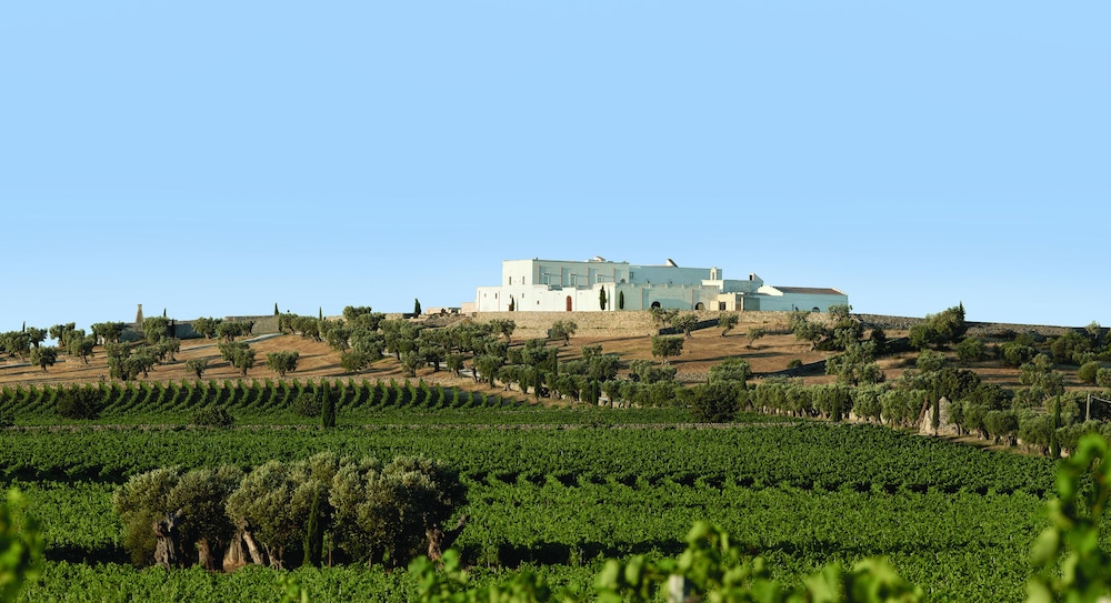 Masseria Amastuola 36/50