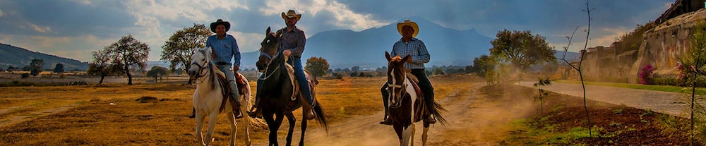 Hacienda Soltepec 18/53