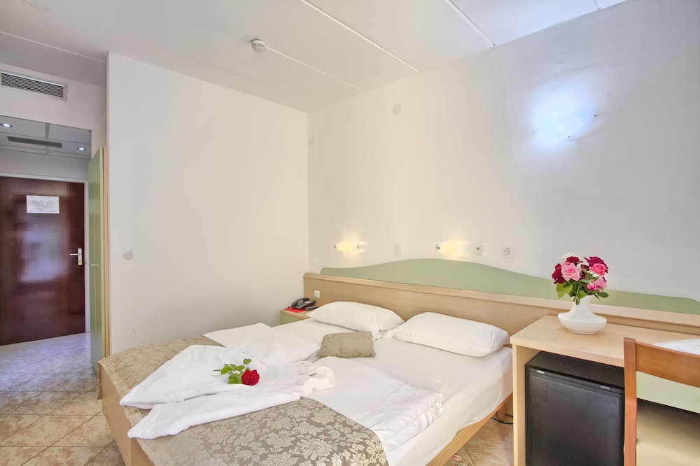 Hotel Mimosa - Lido Palace 18/46