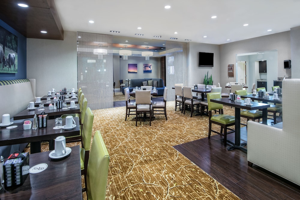 Holiday Inn Dallas Dfw Airport Area West 31/50