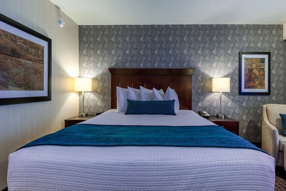 Best Western Plus Carriage Inn 35/78