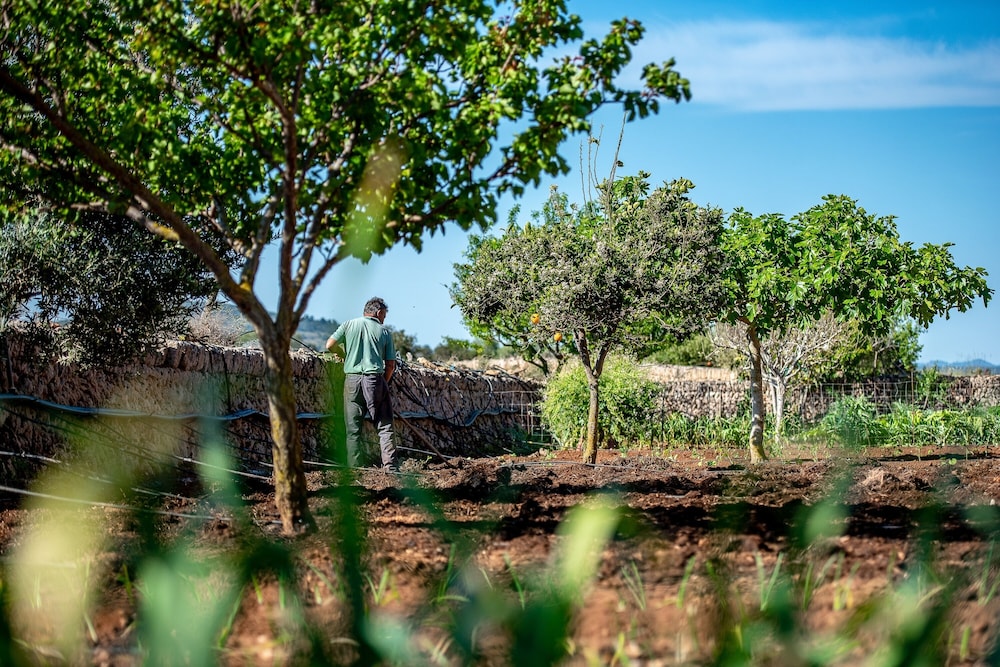 Finca Sos Ferres D'en Morey 43/50