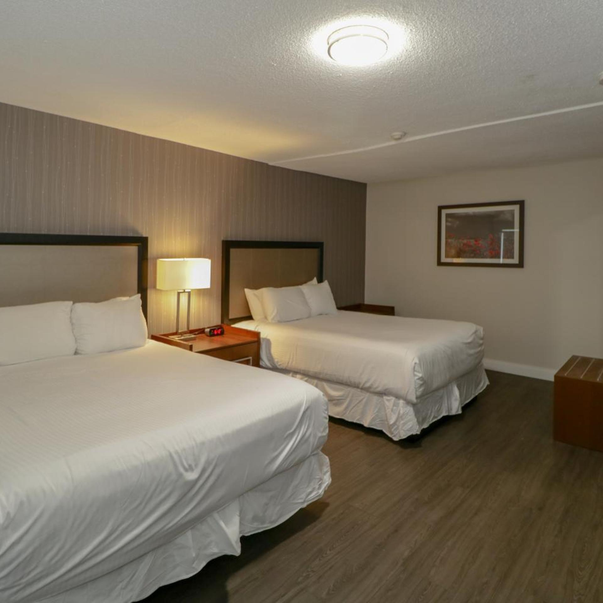 1 Bedroom, Suite, King Bed, 2 Queen Beds, Lake Side
