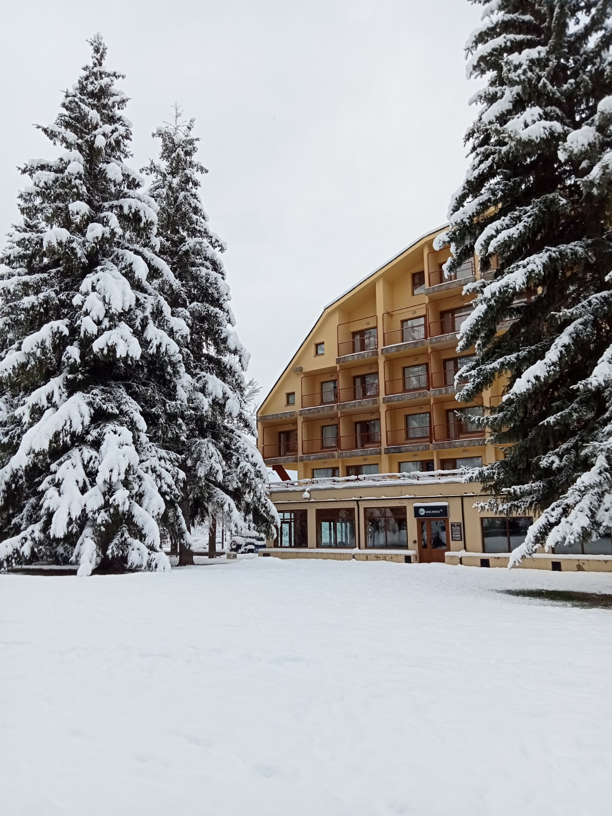 Hotel Sno Edelweiss 2/43