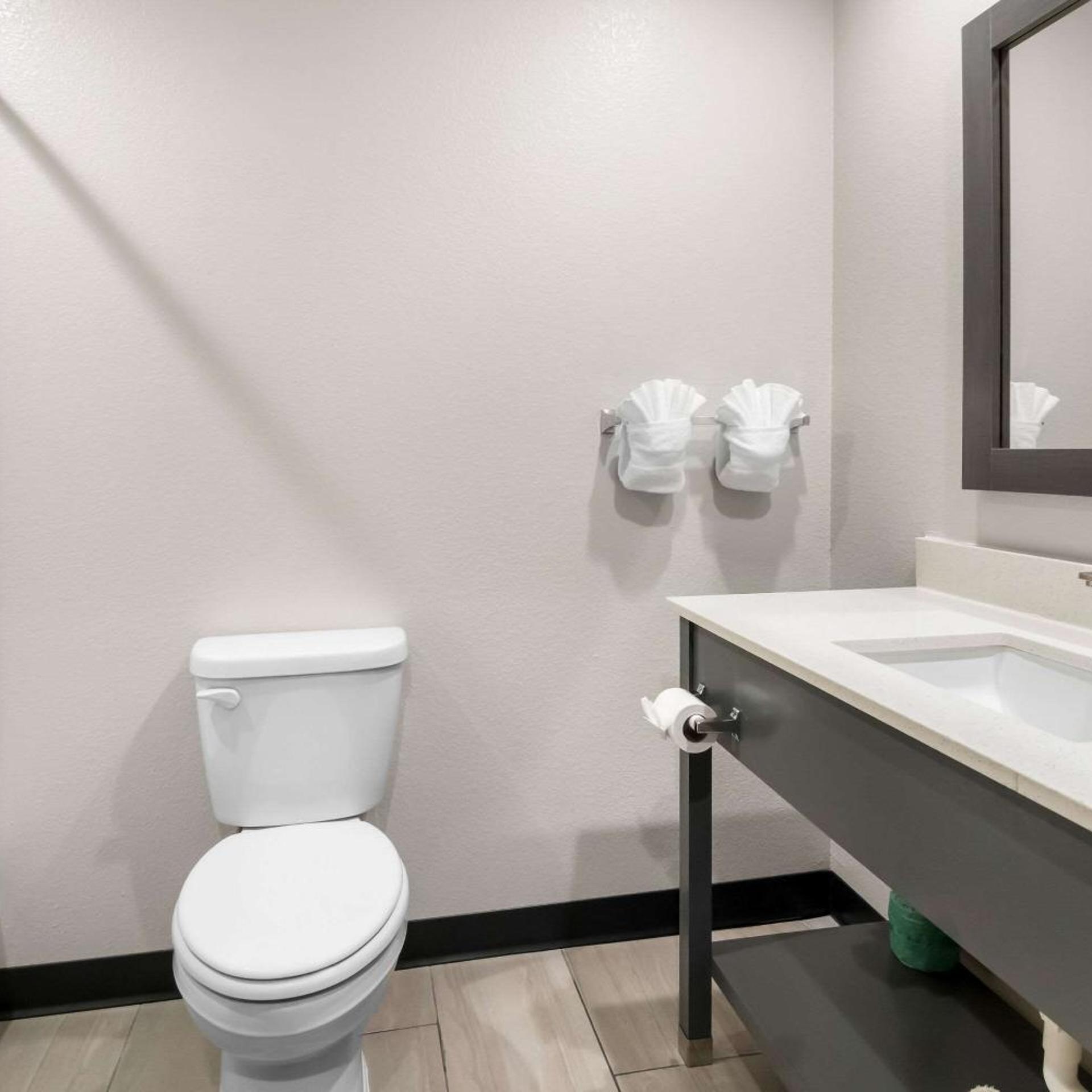 غرفة داخلية بسرير كينج بجاكوزي، Clarion Pointe Fort Worth East - Arlington 5/6