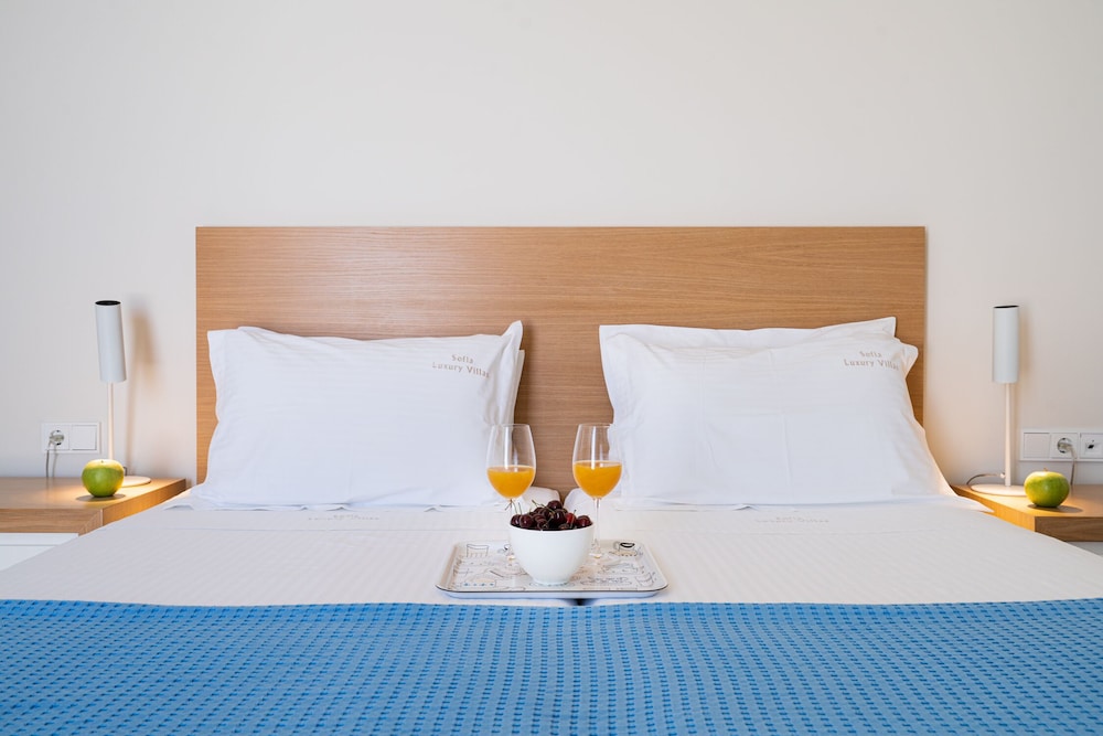 Sofia Luxury Villas 11/50