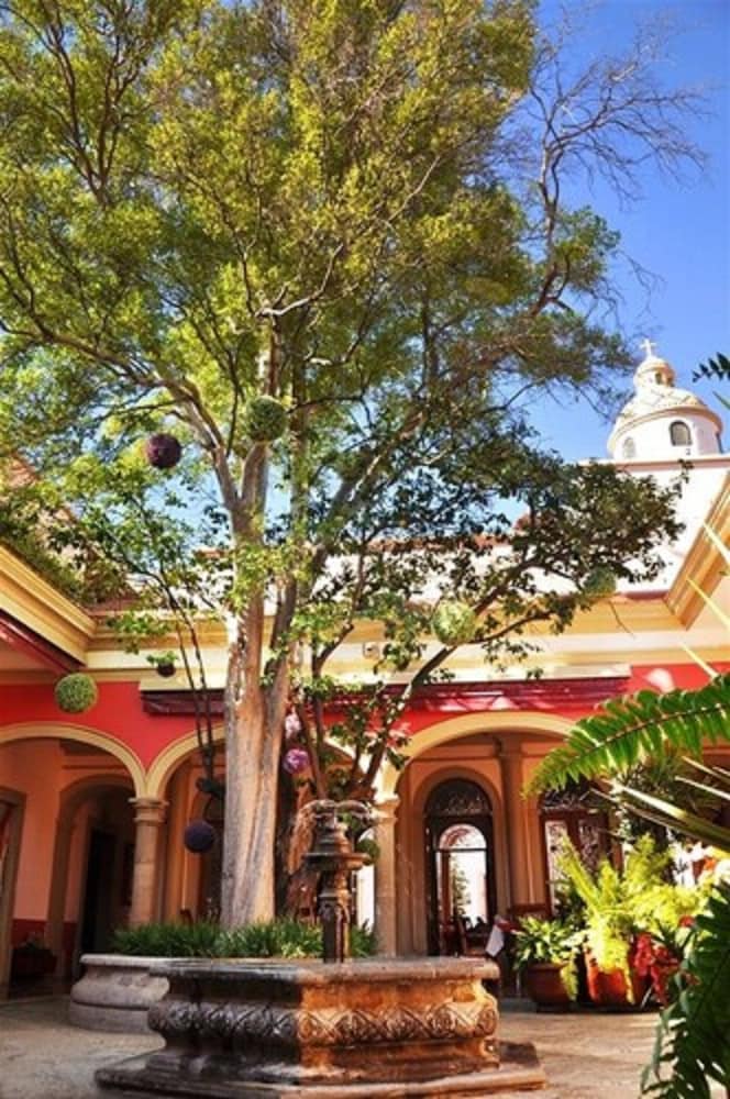 Gran Casa Sayula Hotel Spa 3/50